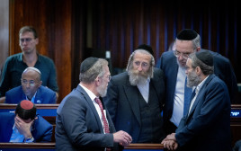 ח"כים חרדים במליאה (צילום: חיים גולדברג, פלאש 90)